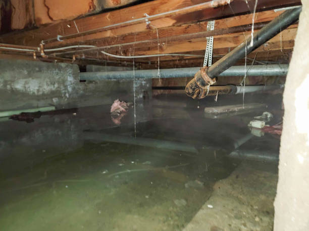 Best Flooded house restoration  in Victoria, MS