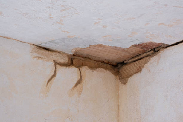 Best 24/7 water damage repair  in Victoria, MS