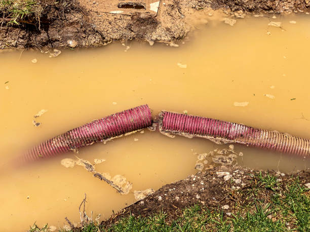 Best Water damage restoration near me  in Victoria, MS